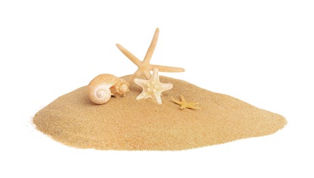 Sand with many beautiful sea stars and seashells isolated on white
