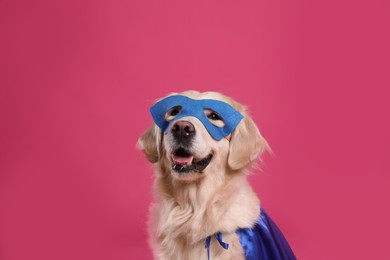 Photo of Adorable dog in blue superhero cape and mask on pink background