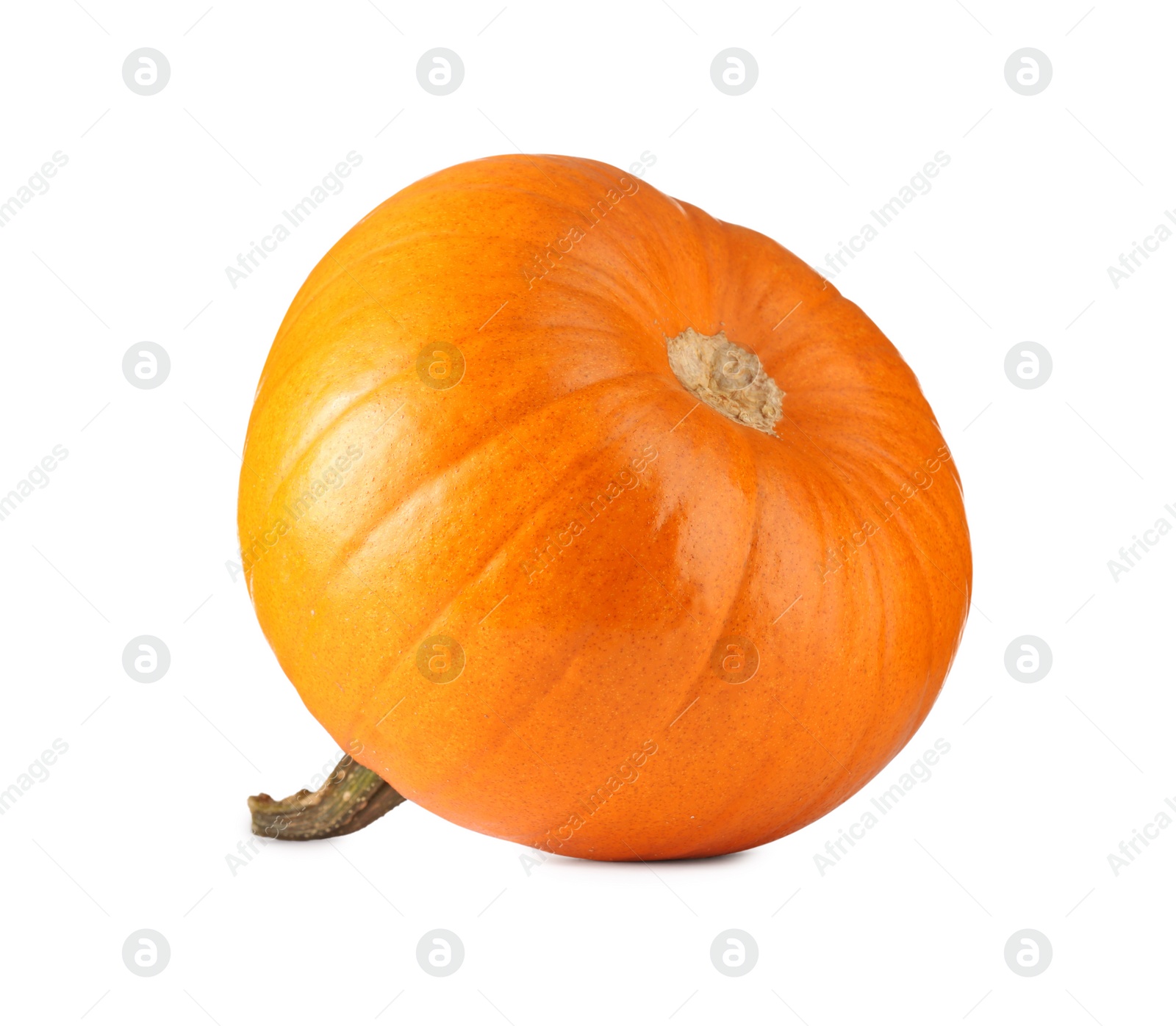 Photo of One fresh orange pumpkin isolated on white