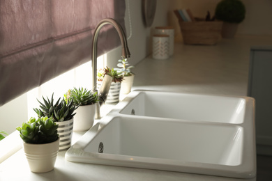 Photo of Houseplants near sink in kitchen. Interior design
