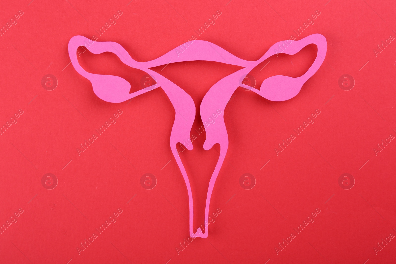 Photo of Reproductive medicine. Paper uterus on red background, top view