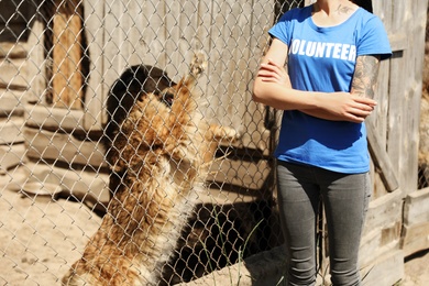 Photo of Woman near cage with homeless dogs in animal shelter, closeup. Concept of volunteering