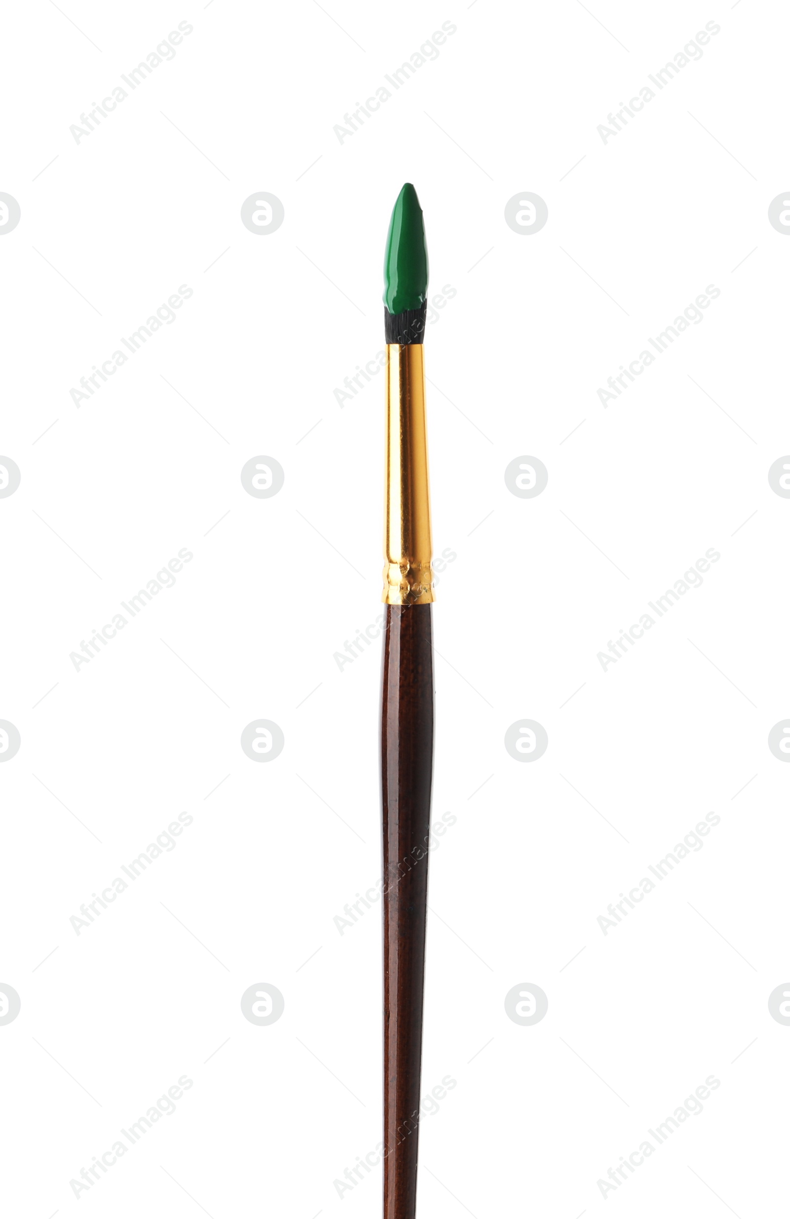 Photo of Brush with green paint isolated on white