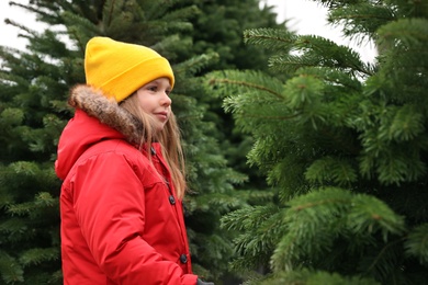 Photo of Little girl among plants at Christmas tree market