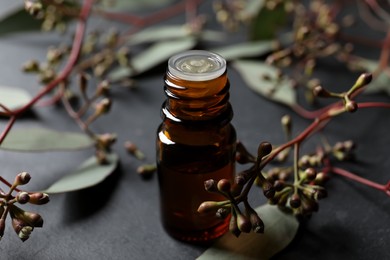 Photo of Bottle of eucalyptus essential oil and plant branches on grey table