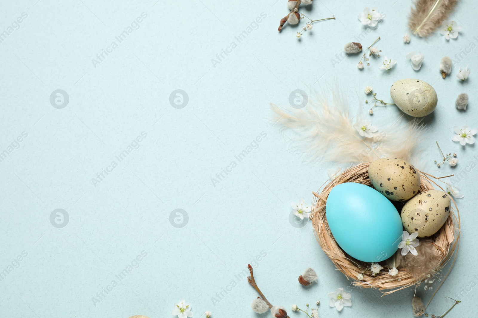 Photo of Beautiful flat lay composition with flowers and Easter eggs on light background. Space for text