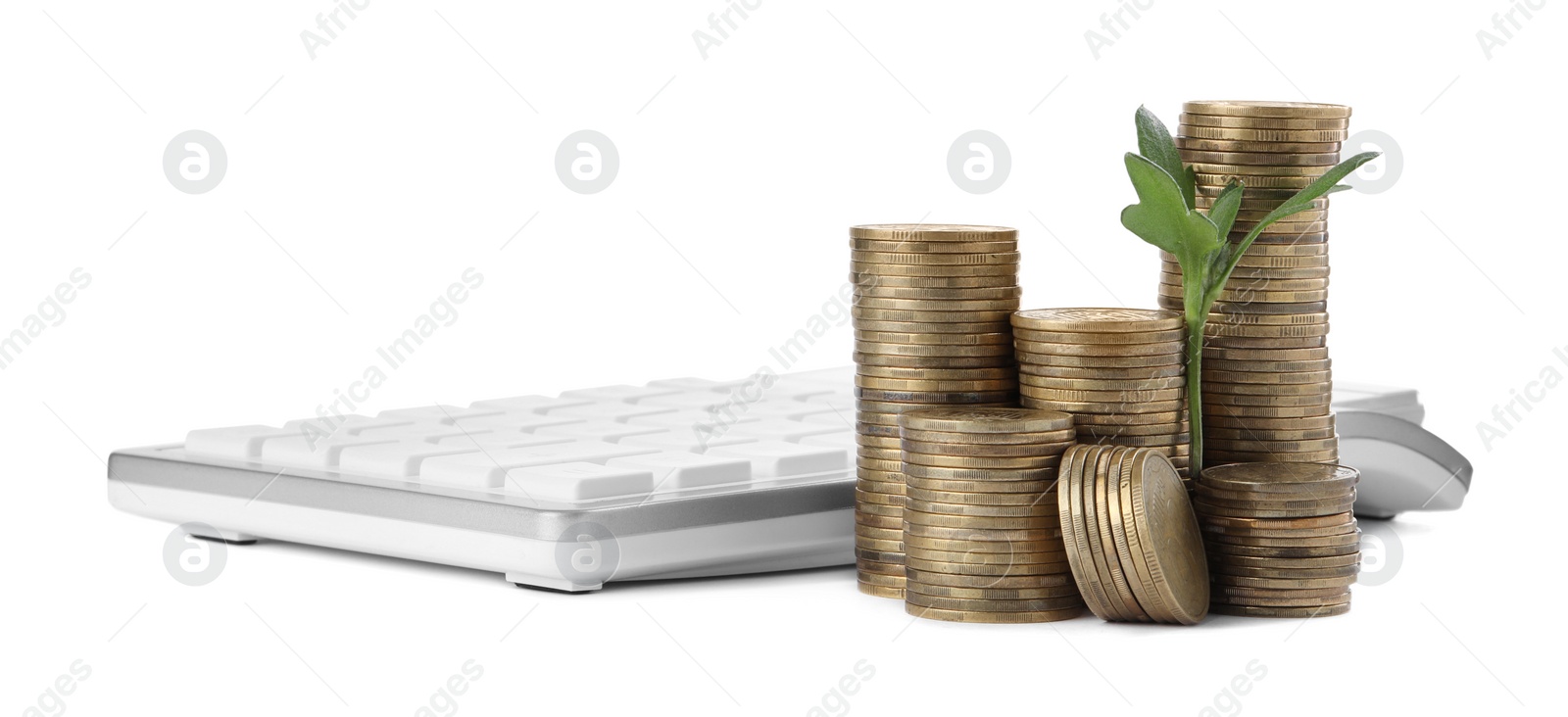 Photo of Stacks of coins with green plant and calculator on white background. Investment concept