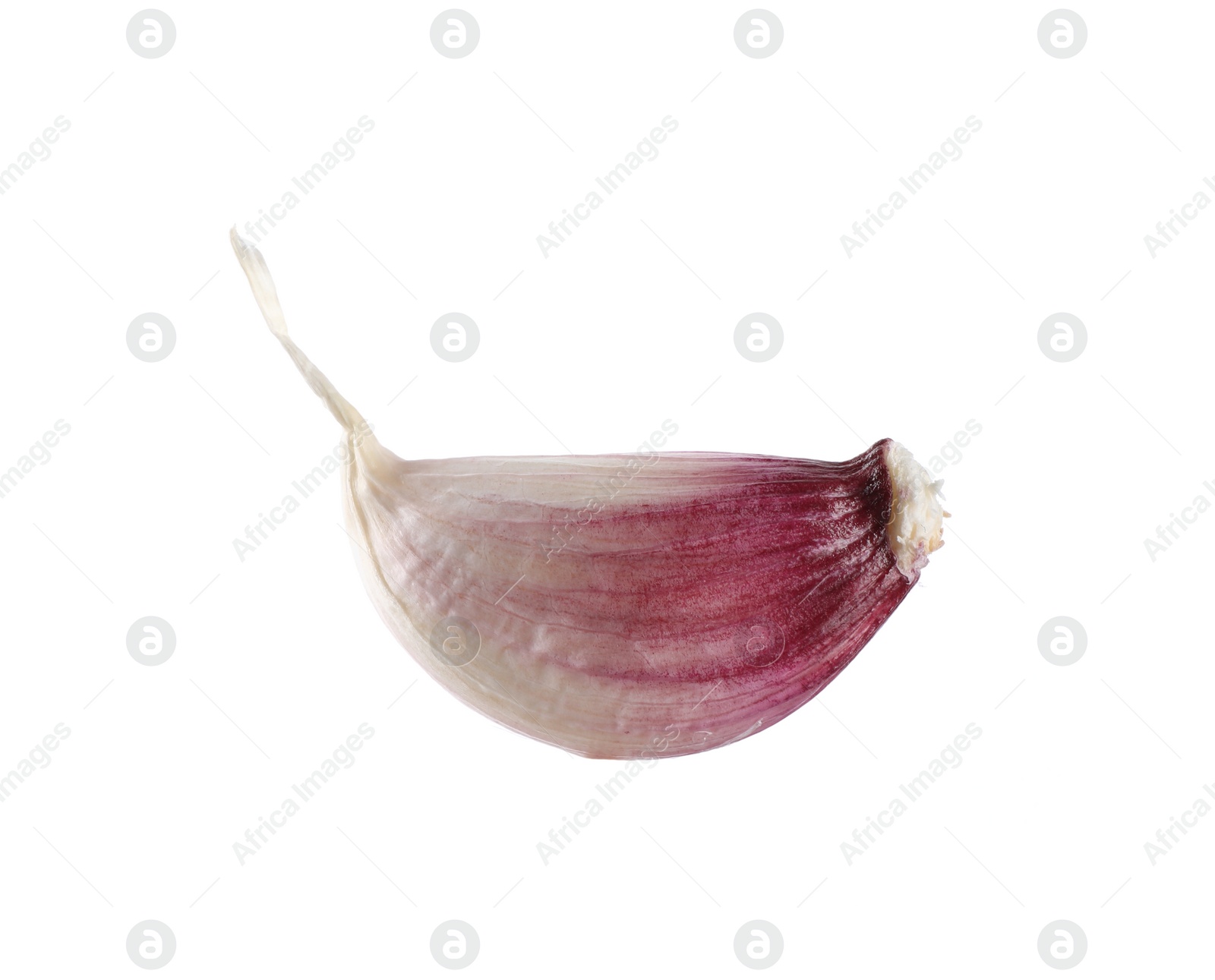 Photo of One unpeeled garlic clove isolated on white