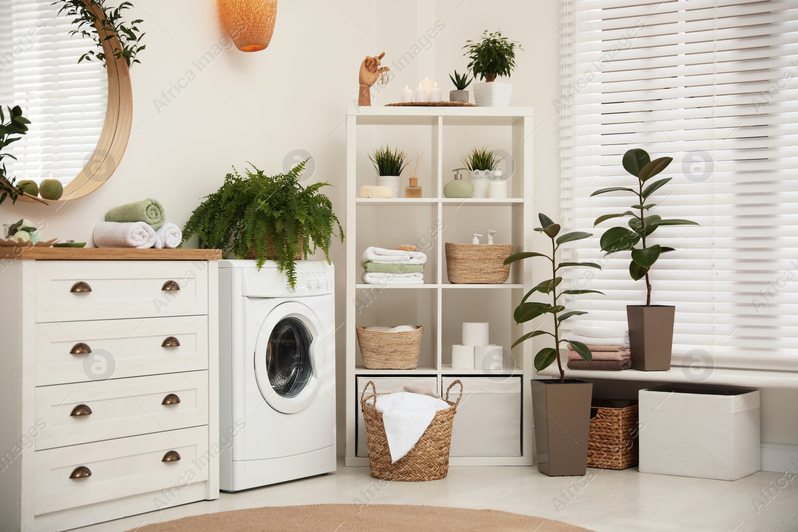 Photo of Elegant interior of modern bathroom with green plants