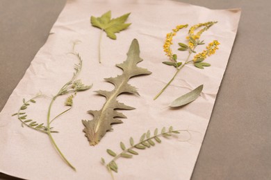 Photo of Sheet of paper with dried flowers and leaves on grey background, closeup