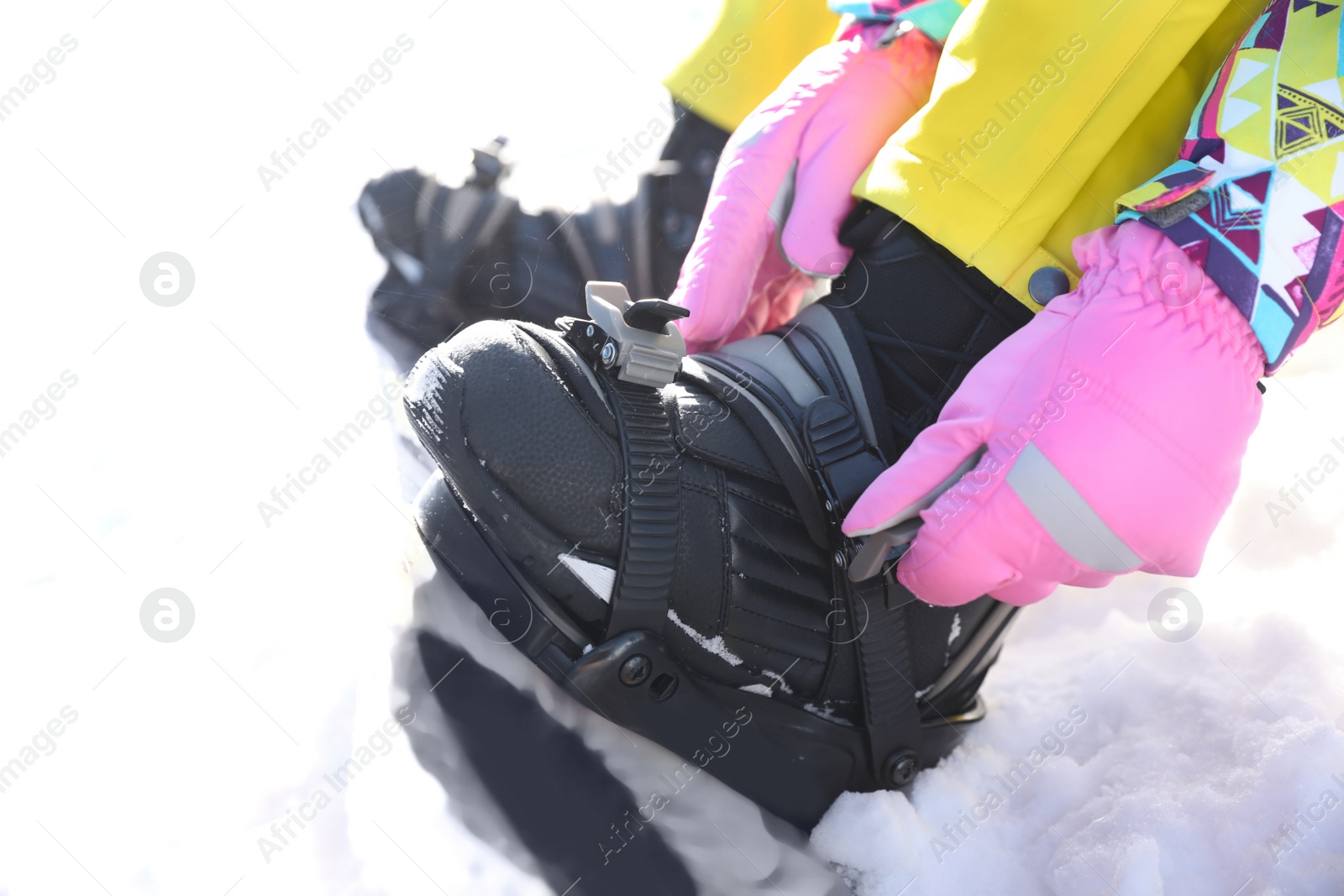 Photo of Young woman putting on snowboard outdoors, closeup. Winter vacation