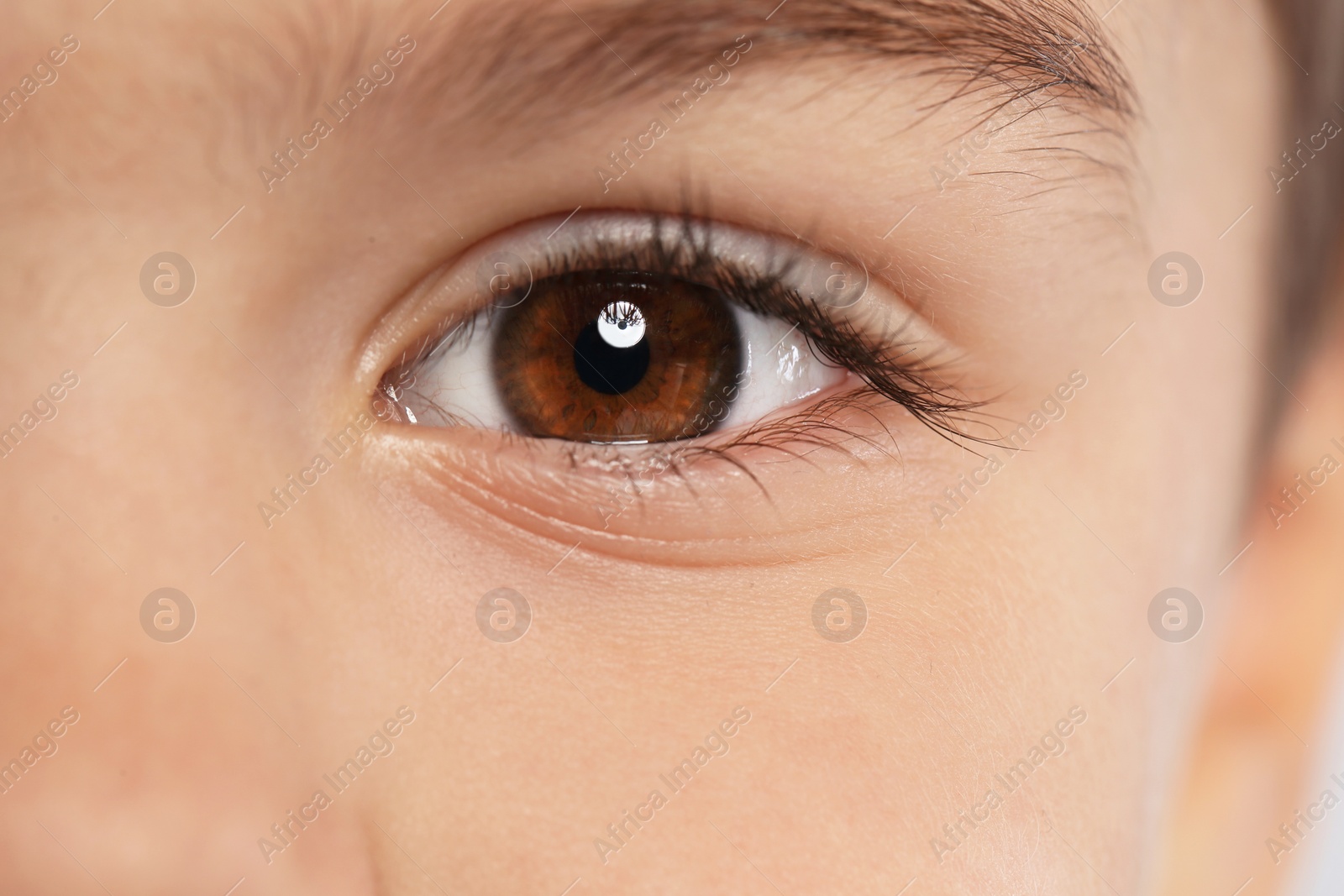 Photo of Little boy, focus on eye. Visiting children's doctor and ophthalmologist