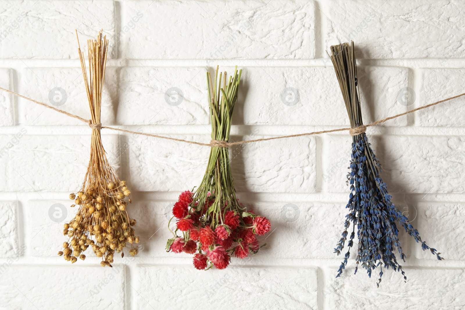 Photo of Bunches of beautiful dried flowers hanging on rope near white brick wall