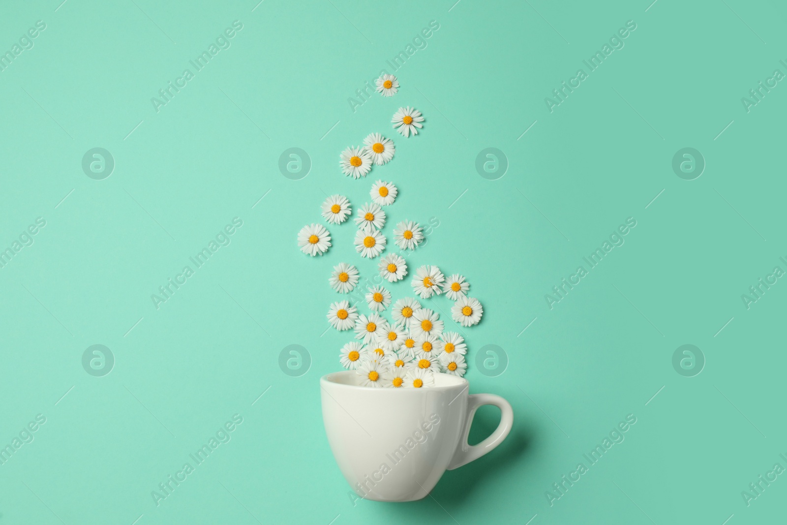 Photo of Flat lay composition with daisy flowers and ceramic cup on turquoise background