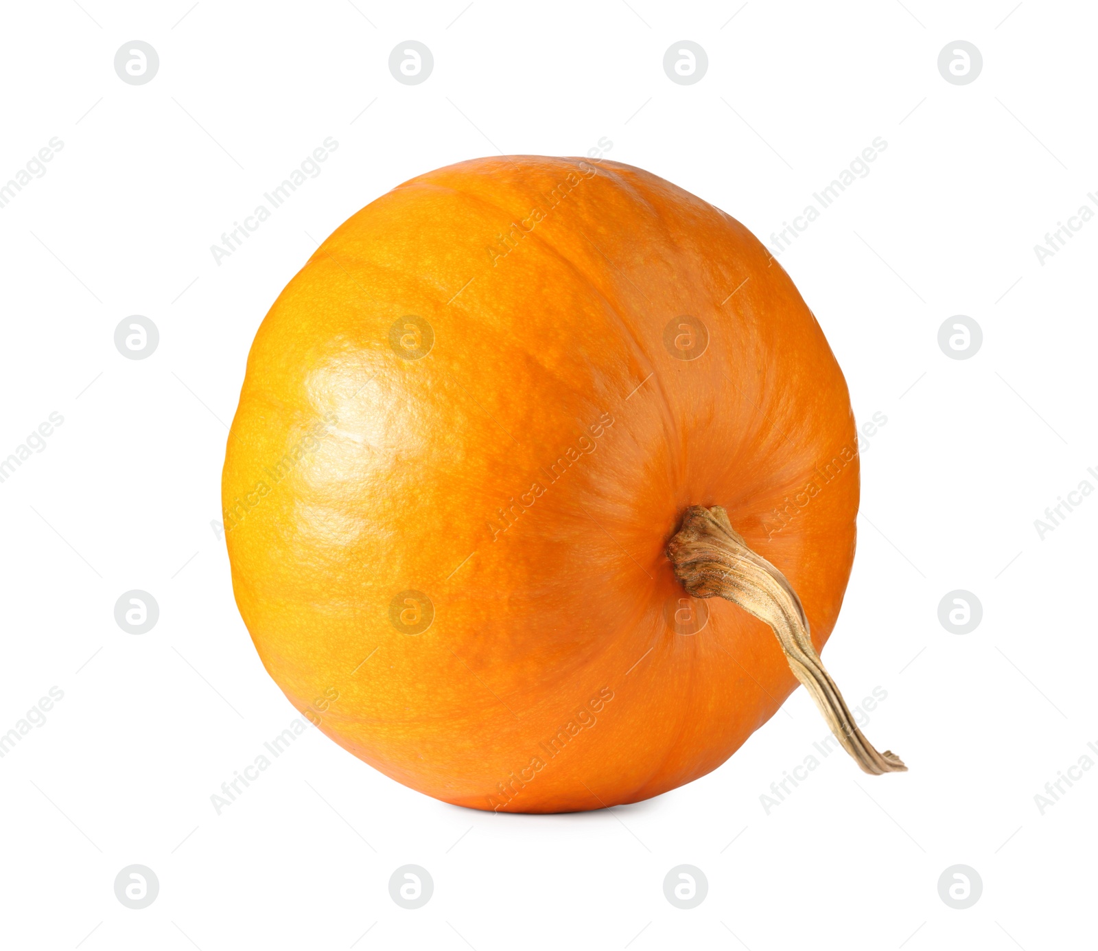 Photo of One fresh orange pumpkin isolated on white