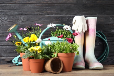 Photo of Blooming flowers in pots and gardening equipment on table