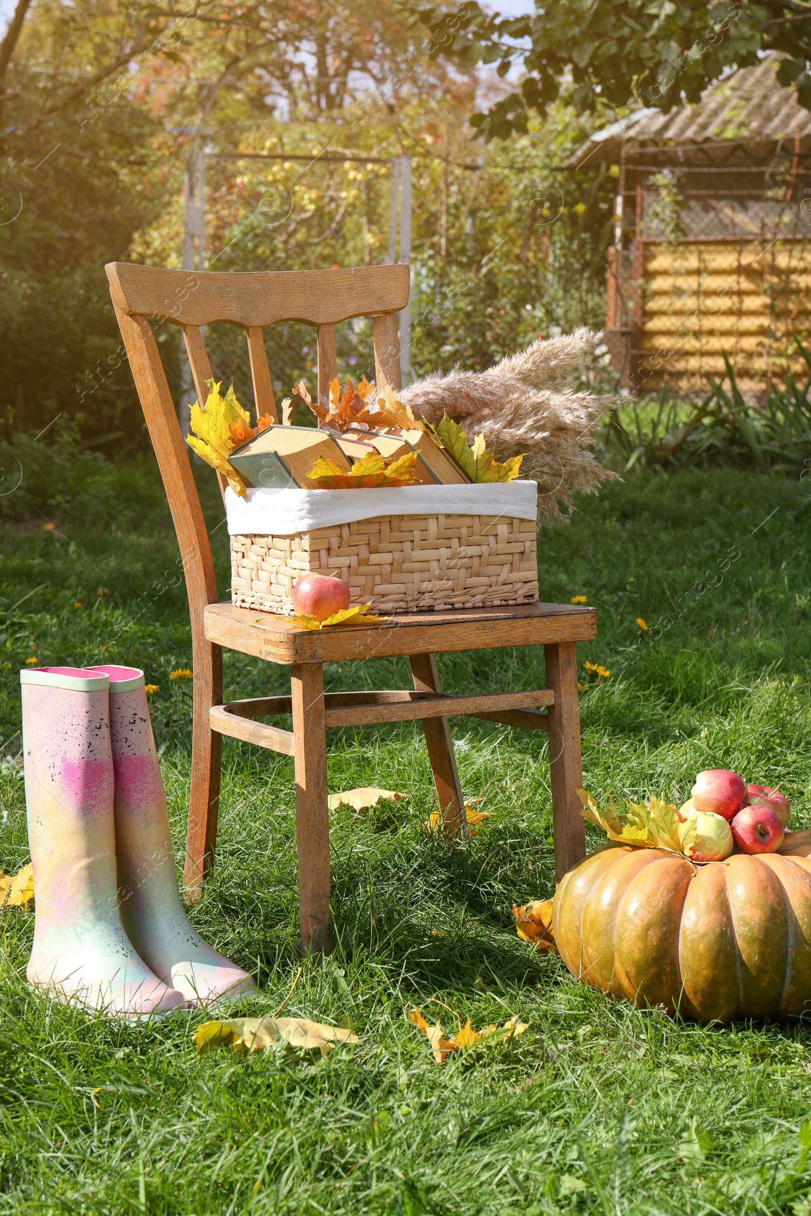 Photo of Rubber boots, chair, pumpkin and apples on green grass in park. Autumn atmosphere