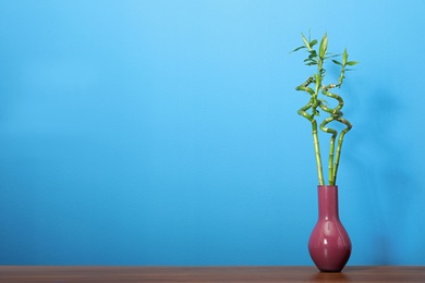 Vase with bamboo stems on wooden table against blue wall, space for text
