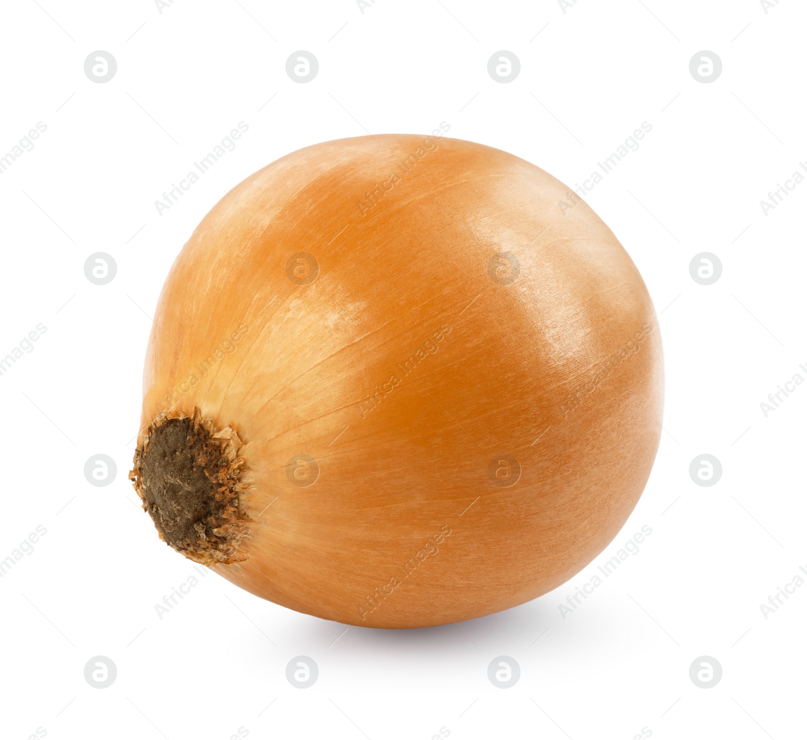 Photo of One yellow fresh onion isolated on white