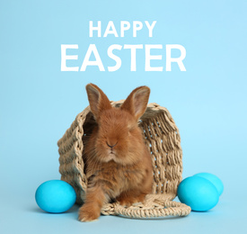 Adorable fluffy bunny in wicker basket and eggs on light blue background. Happy Easter