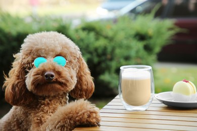 Cute fluffy dog at table with coffee and macaron in outdoor cafe