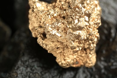 Photo of Shiny gold nugget on grey stone, closeup