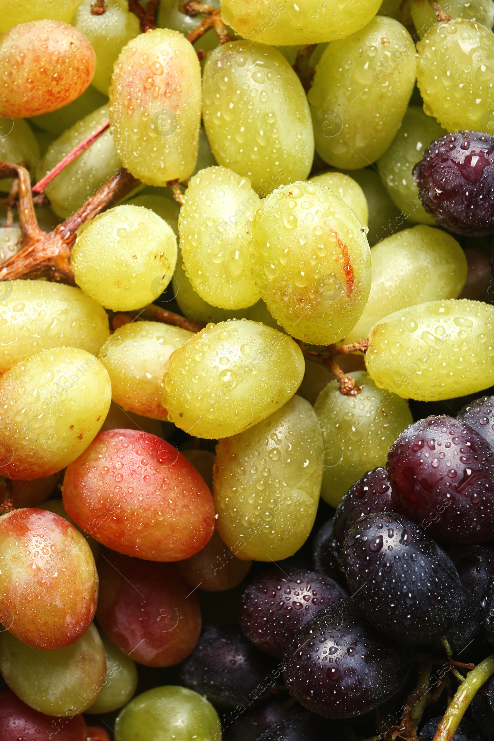 Photo of Fresh ripe juicy grapes as background, closeup