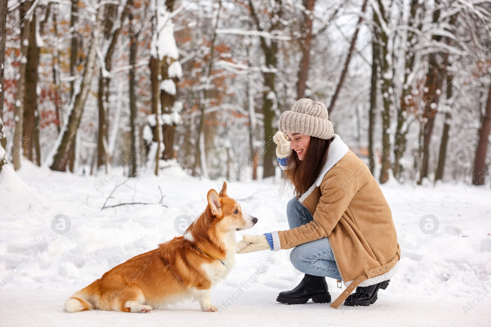 Photo of Woman with adorable Pembroke Welsh Corgi dog in snowy park