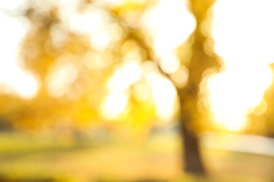 Photo of Blurred view of autumn park. Bokeh effect