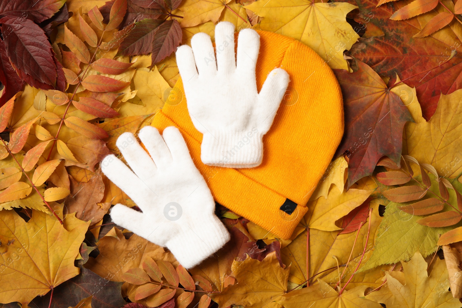 Photo of Stylish white woolen gloves and yellow hat on dry leaves, flat lay
