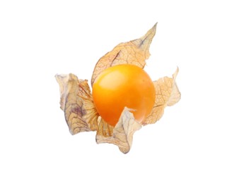 Ripe physalis fruit with calyx isolated on white