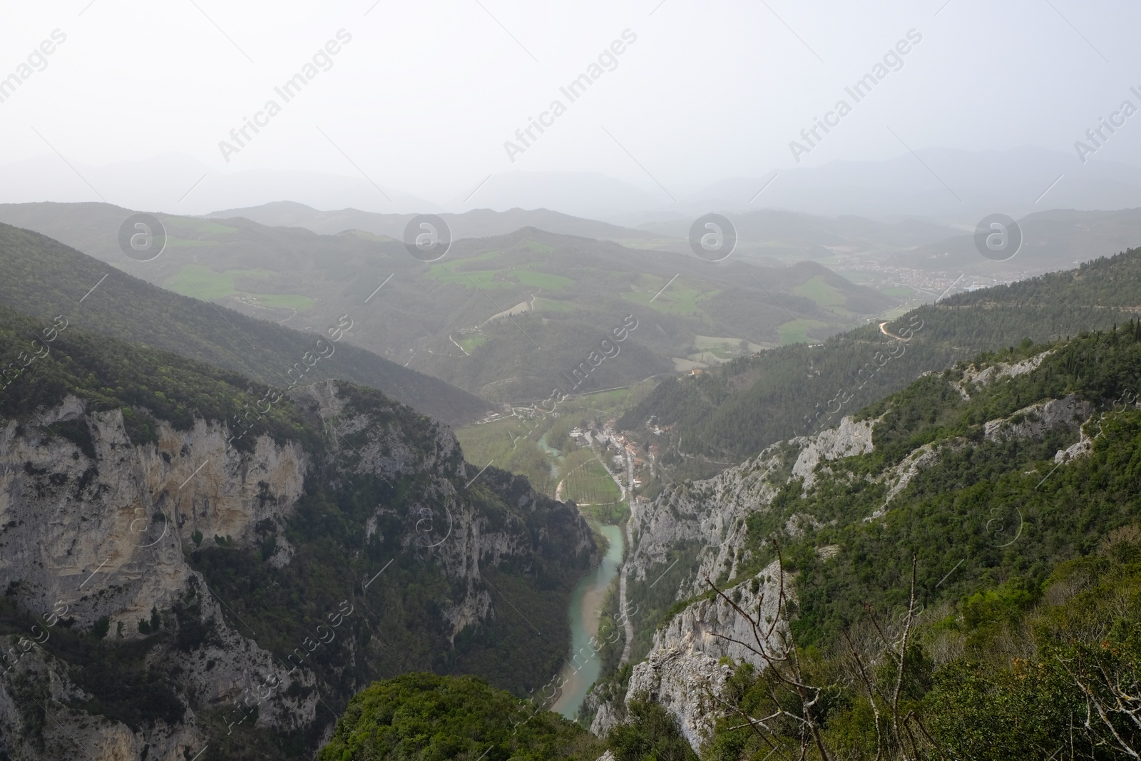 Photo of Picturesque view of green forest in mountains