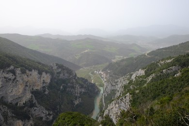 Photo of Picturesque view of green forest in mountains