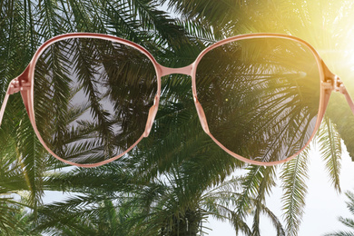Palms with lush green foliage on sunny day, view through sunglasses