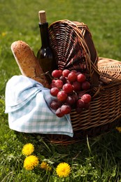 Wicker basket with picnic blanket, bottle of wine, grapes and bread on green grass