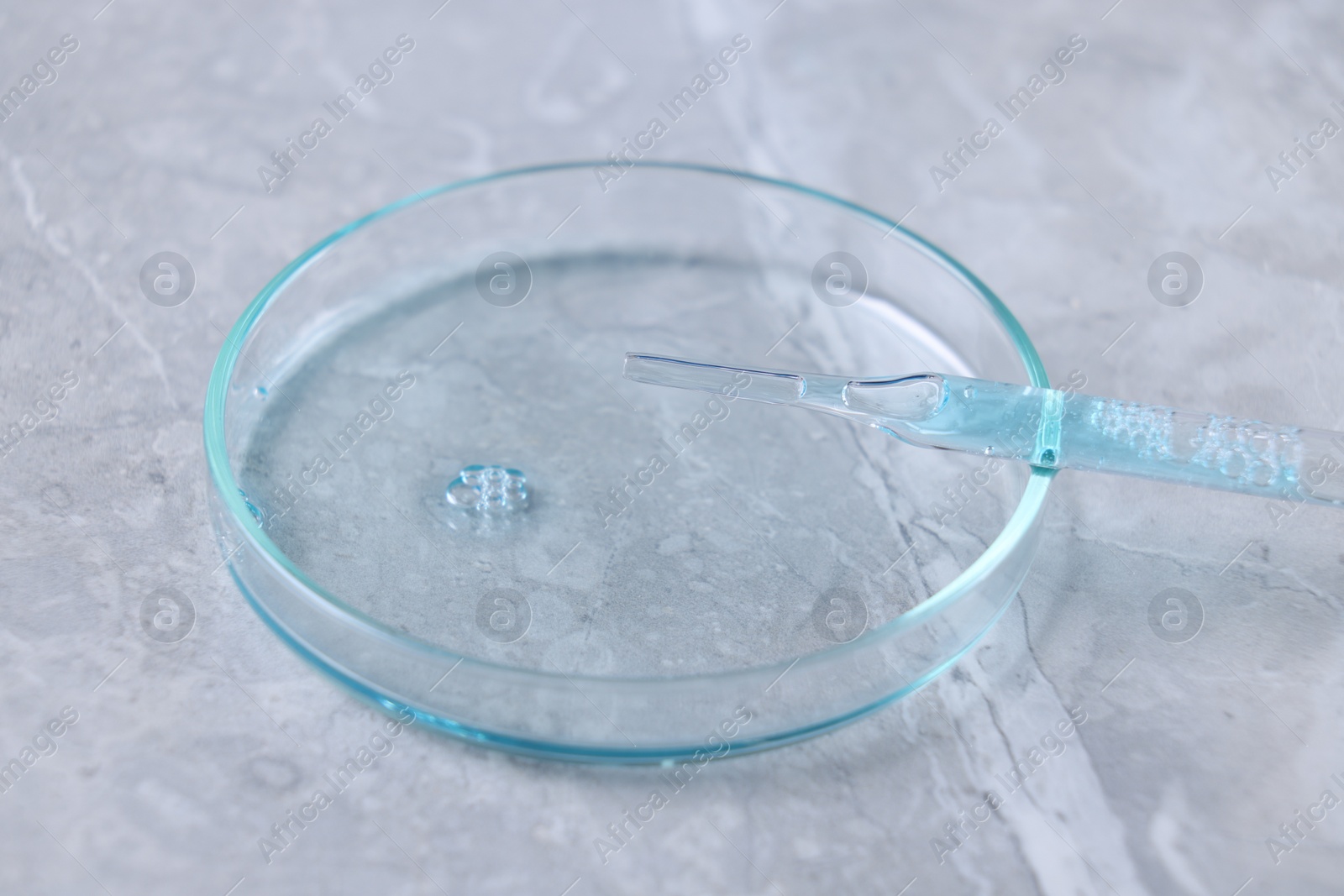 Photo of Glass pipette and petri dish with liquid on grey marble table, closeup