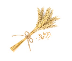Photo of Bunch of wheat and grains on white background, top view