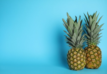 Photo of Ripe juicy pineapples on light blue background. Space for text