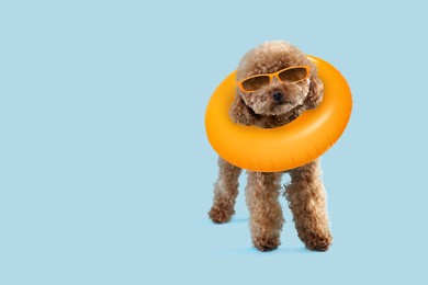 Image of Cute Maltipoo dog with stylish sunglasses and swim ring on light blue background. Space for text