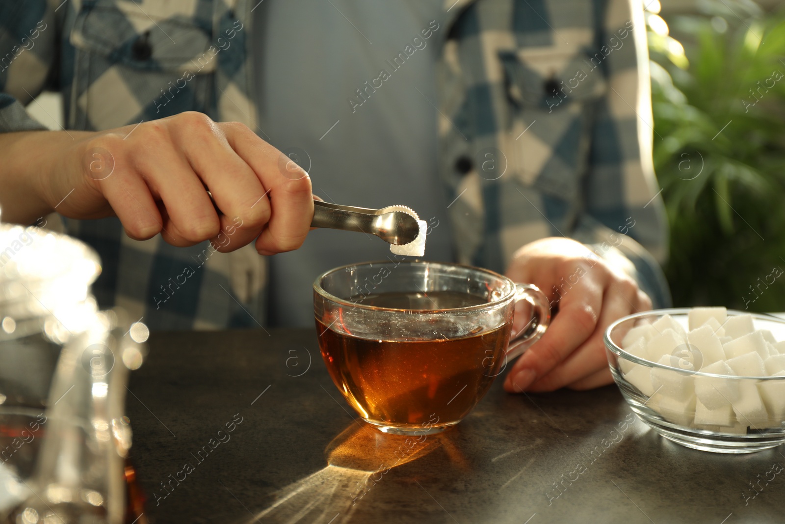 Photo of Woman adding sugar cube into cup of tea at dark table, closeup