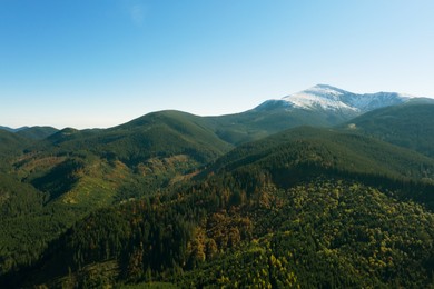 Image of Beautiful mountains covered with forest on sunny day. Drone photography