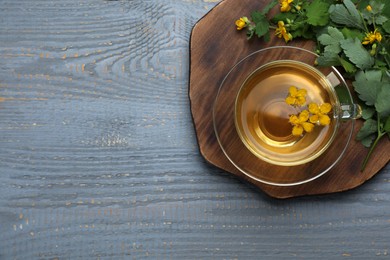 Photo of Glass cup of aromatic celandine tea and flowers on grey wooden table, top view. Space for text