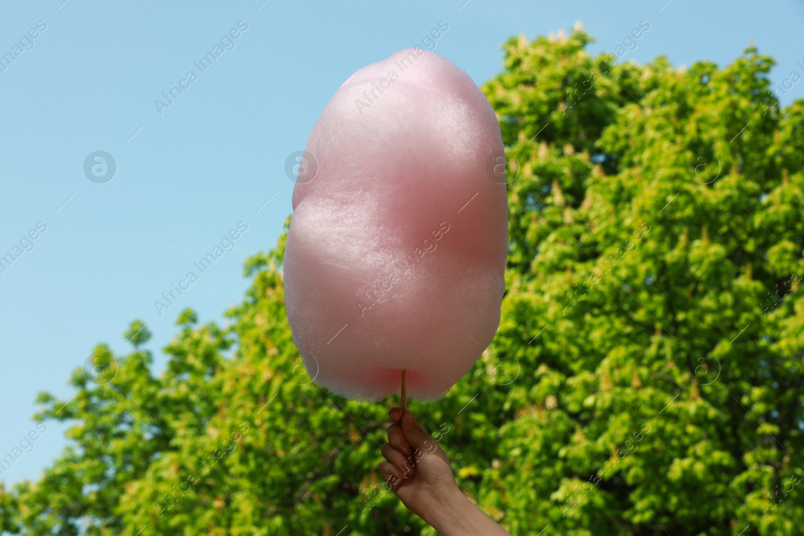 Photo of Woman holding sweet cotton candy outdoors, closeup