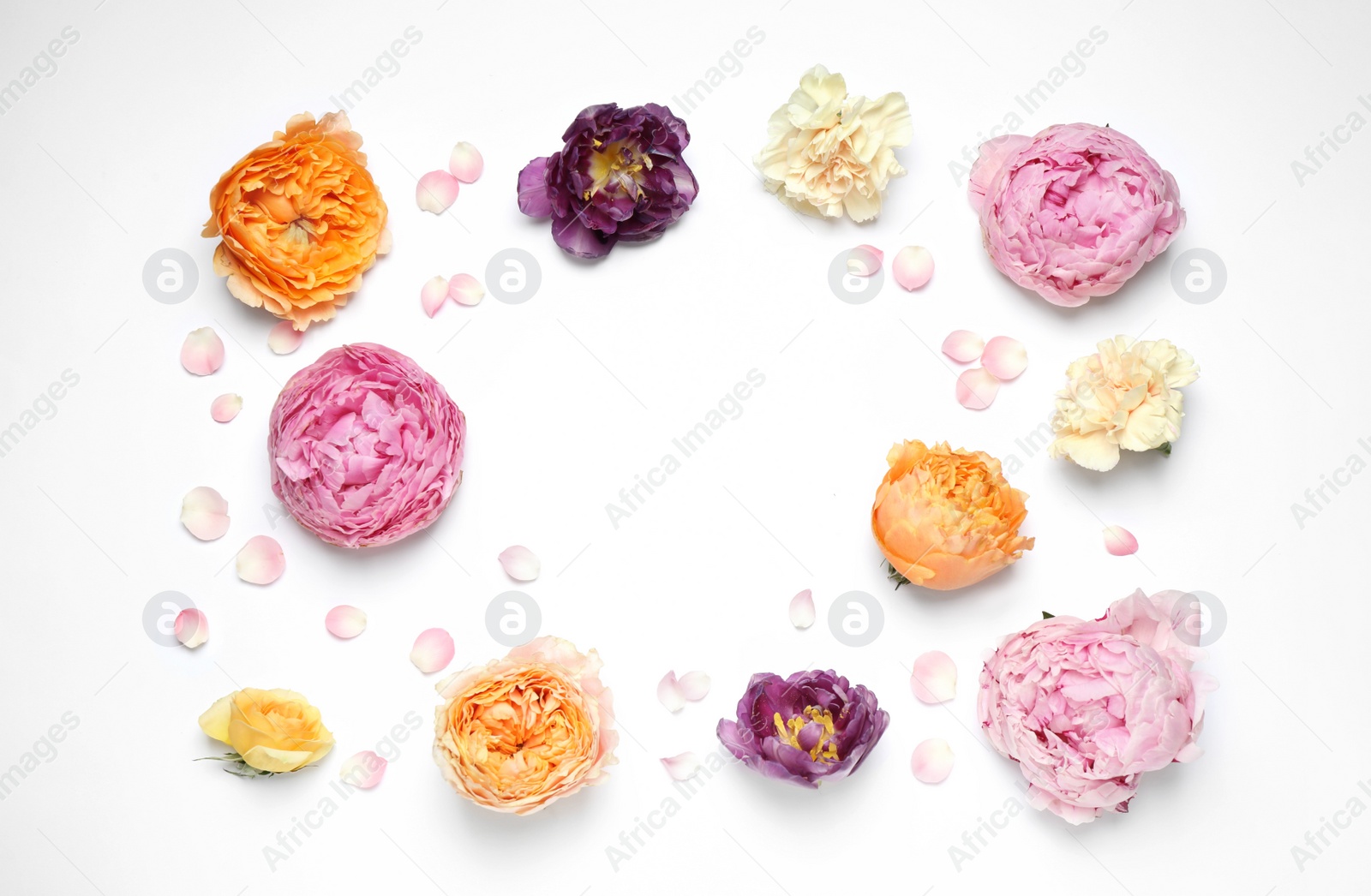 Photo of Frame made of beautiful flowers on white background, flat lay with space for text. Floral composition