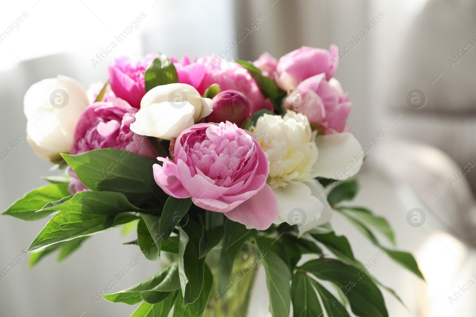 Photo of Bouquet of beautiful peonies in room, closeup