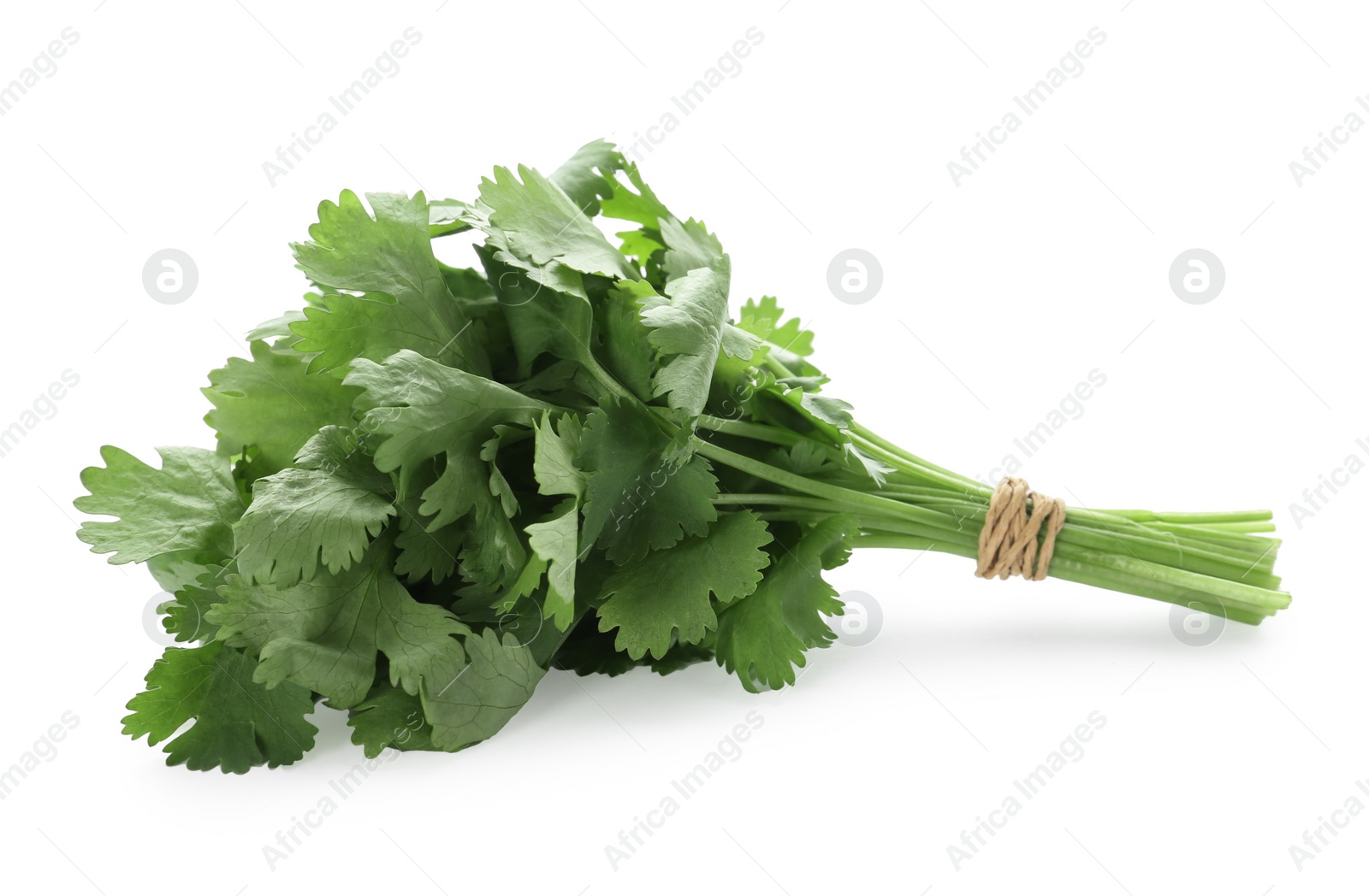 Photo of Bunch of fresh green organic cilantro isolated on white