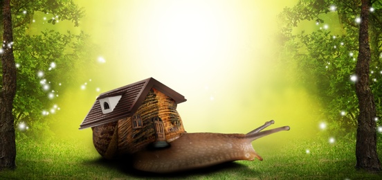 Fantasy world. Magic snail with its shell house moving in beautiful fairy forest. Banner design