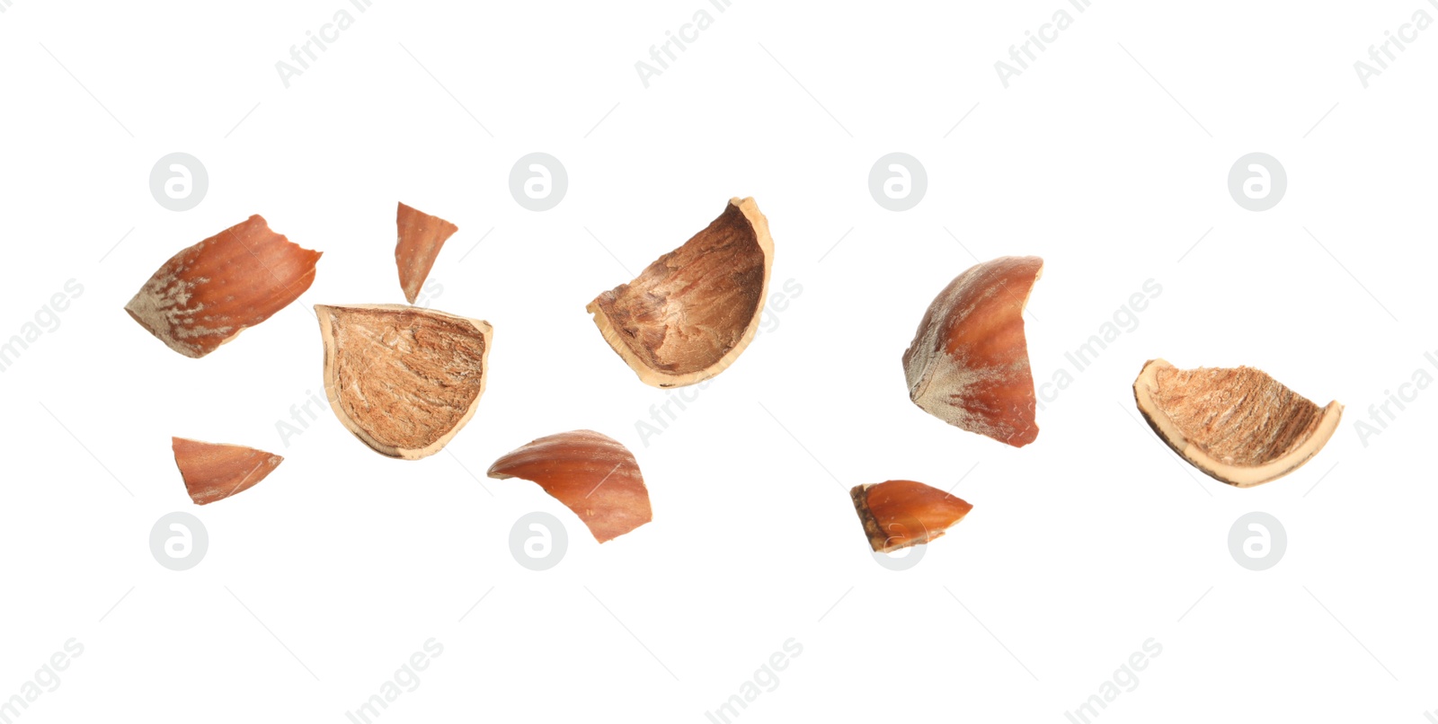 Photo of Pieces of hazelnut shell on white background