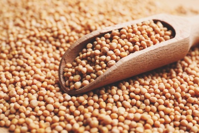 Photo of Mustard seeds and wooden scoop as background, closeup