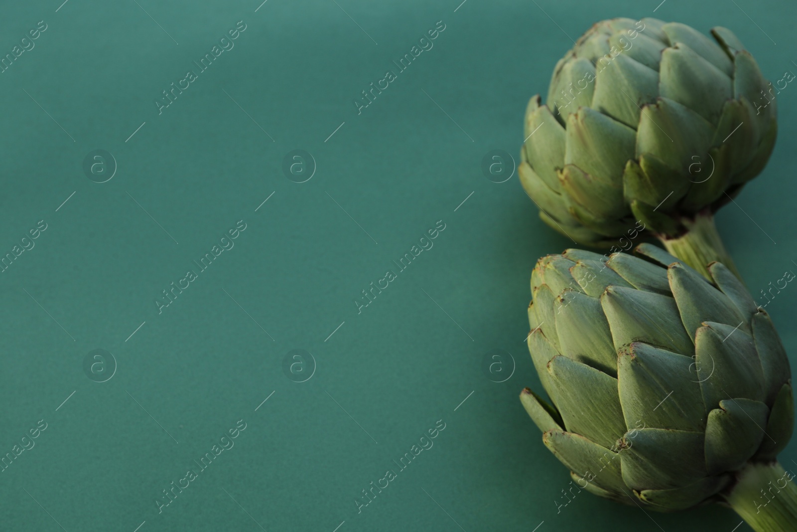 Photo of Whole fresh raw artichokes on green background, closeup. Space for text